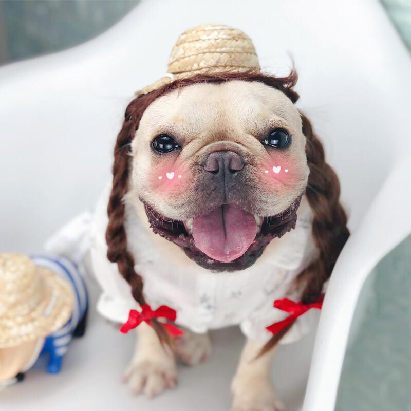 Dog Summer Straw Hat Cap for Medium Dogs