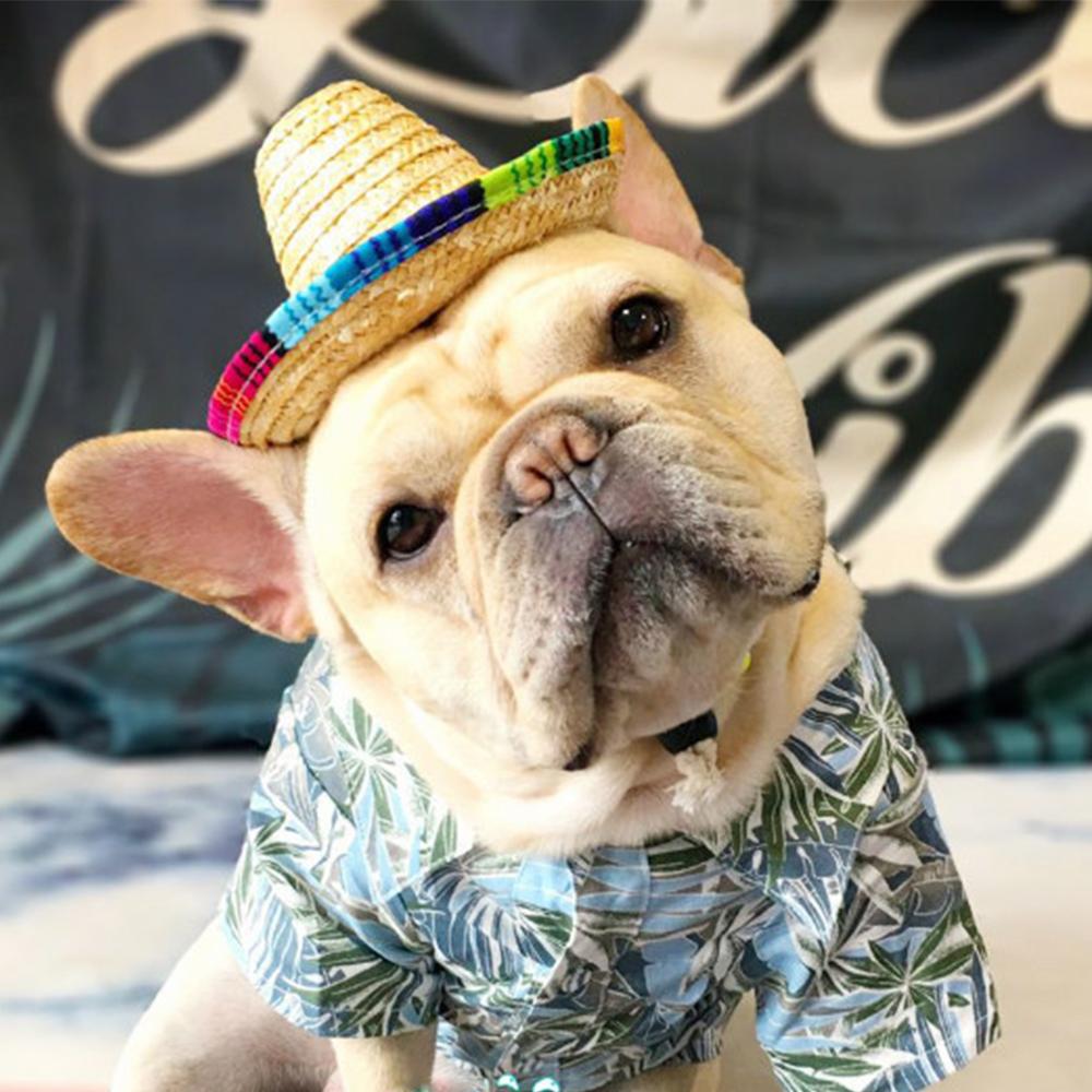 https://www.frenchiely.com/cdn/shop/products/French_Bulldog_Summer_Straw_Hat_Cap_with_Adjustable_String_033.jpg?v=1672924482&width=1445