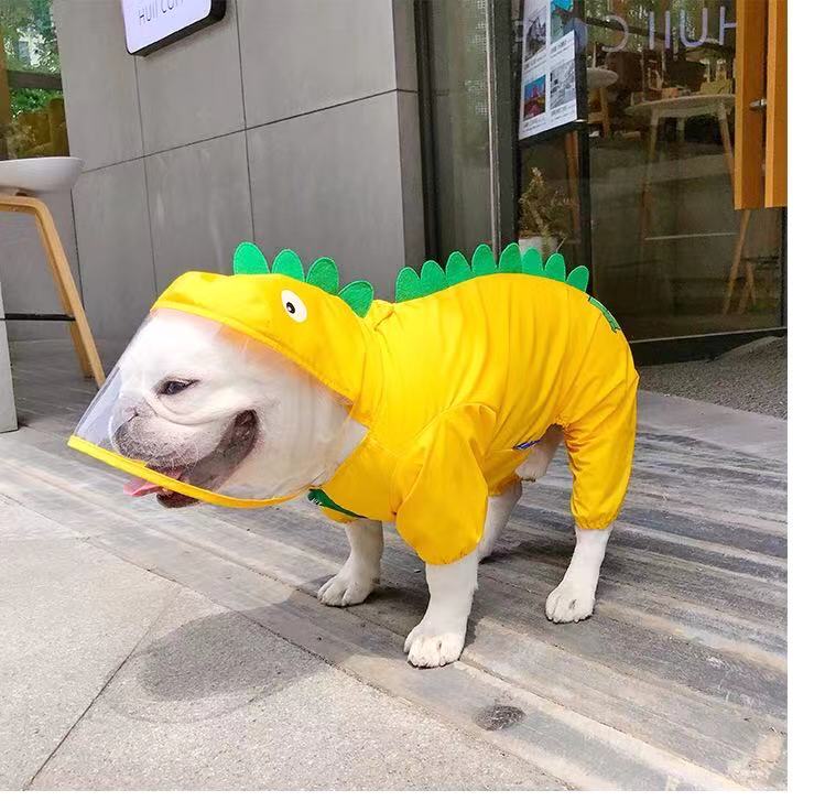 Dog in rain outlet gear