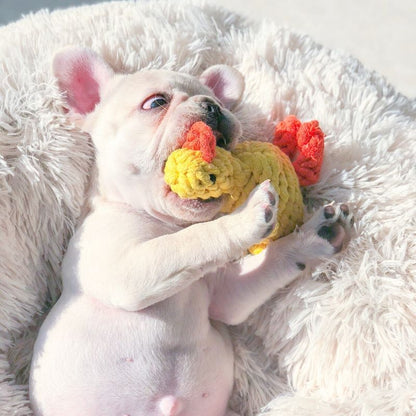 Puppy Frenchie Chewing Rope Toy Duck - Frenchiely