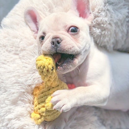 Puppy Frenchie Chewing Rope Toy Duck - Frenchiely