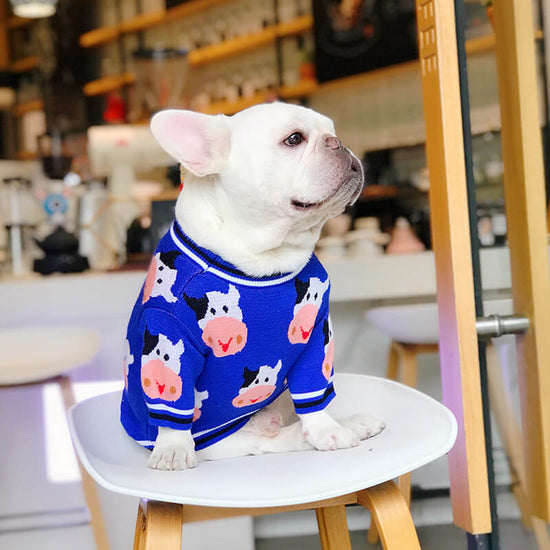 Dog Blue Cow Sweater – Frenchiely