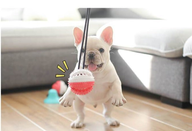 1pc Suction Cup Dog Toy Molar & Feeder & Vent Toy With Bell For Pet