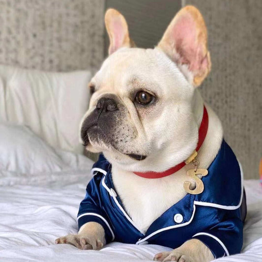 How To Select Dog Clothing and Buy Right Clothes for French Bulldogs ? –  Frenchiely