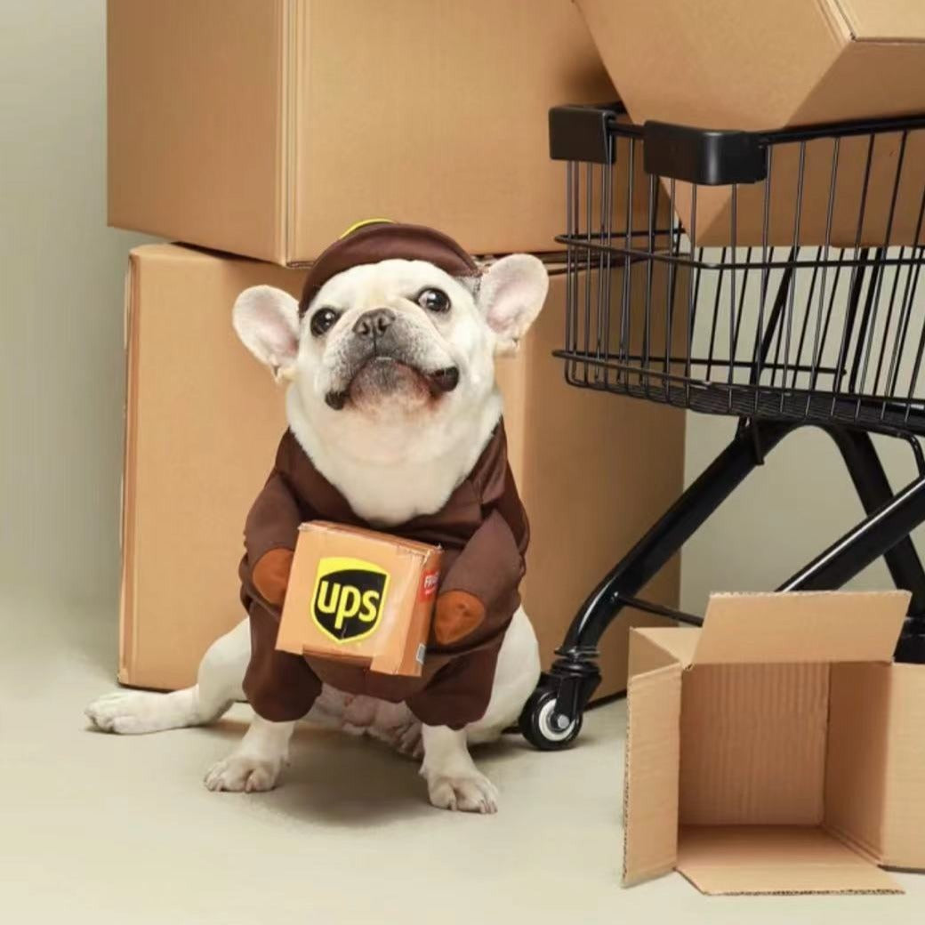 Pug in 2024 ups costume