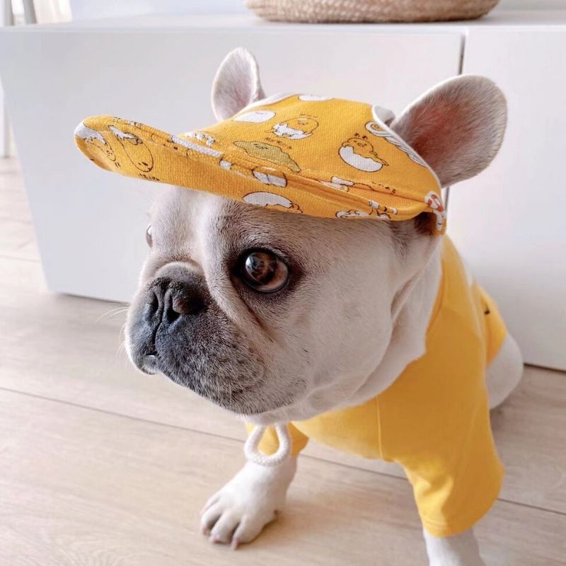 Cartoon Dog Sunscreen Hat Frenchiely