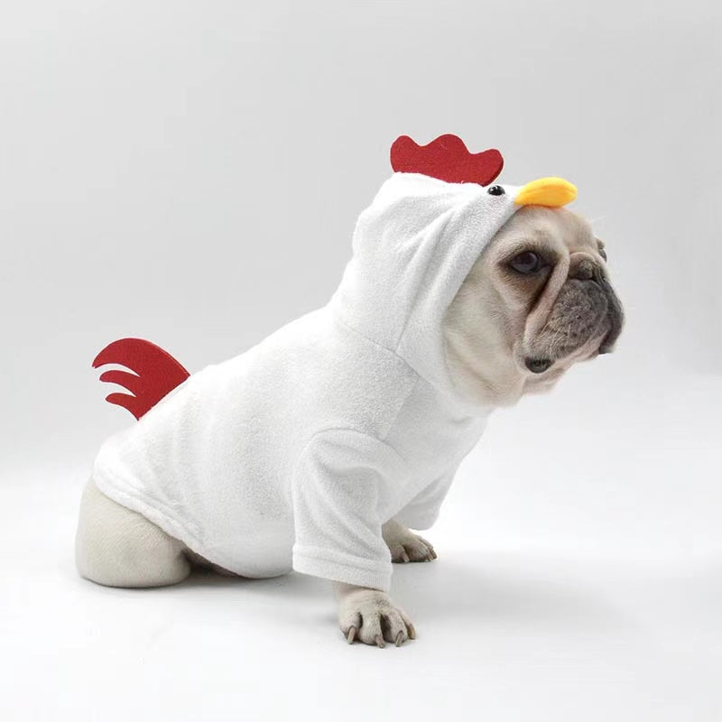 Dog in 2024 chicken costume