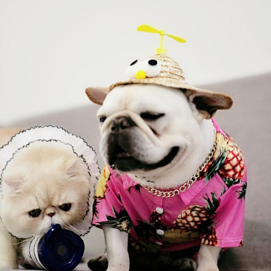 Dog Spinning Straw Hat for French Bulldog - Frenchiely