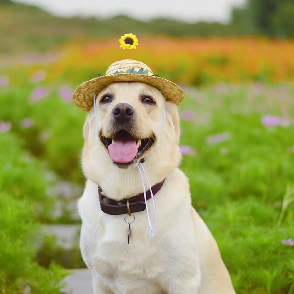 Dog Sunflower Straw Hat for Medium Dogs - Frenchiely