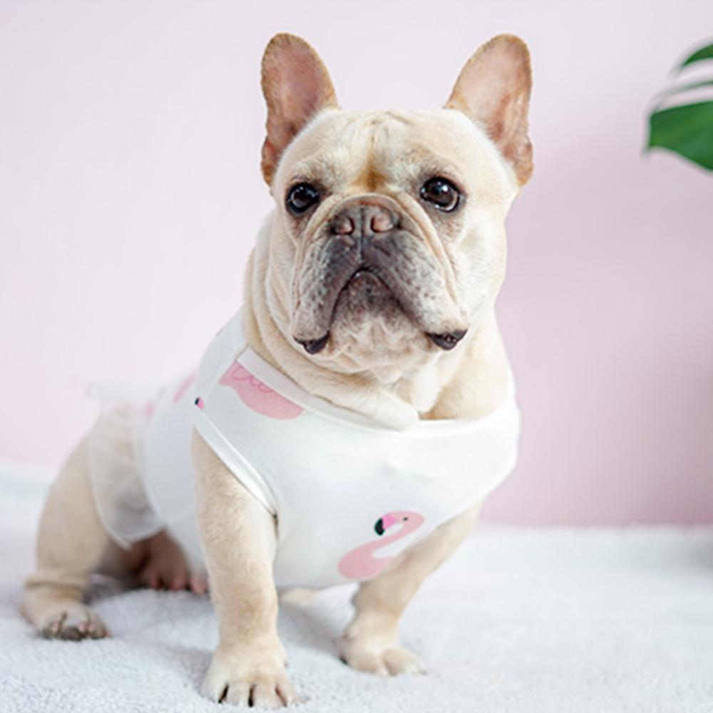 Fancy Flexible Dog Flamingo Dress for Bulldogs - Frenchiely