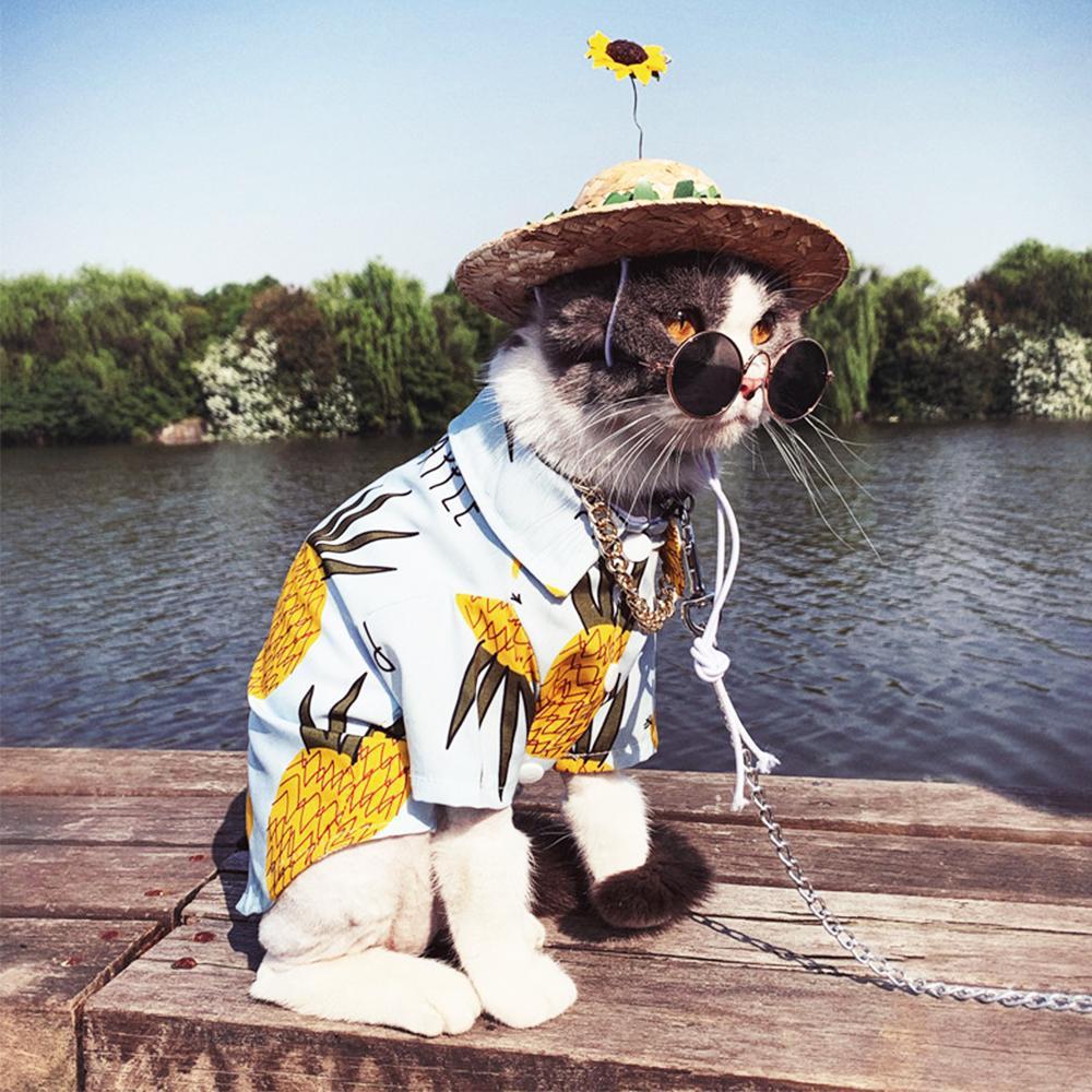 https://www.frenchiely.com/cdn/shop/products/Frenchiely_pineapple_summer_shirt_with_sunflower_straw_hat_for_french_bulldog_015.jpg?v=1593836710&width=1445