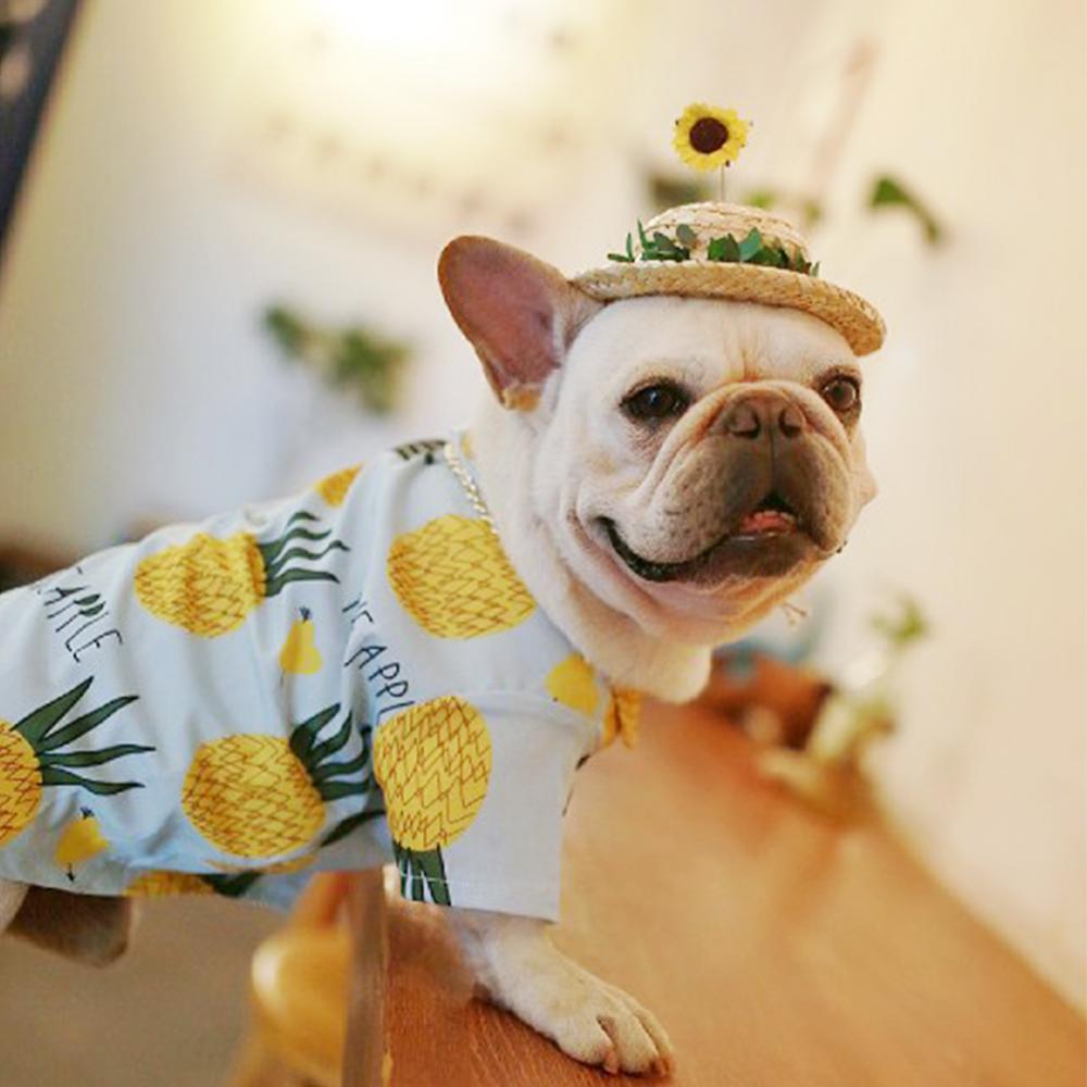 https://www.frenchiely.com/cdn/shop/products/Frenchiely_pineapple_summer_shirt_with_sunflower_straw_hat_for_french_bulldog_02.jpg?v=1593836710&width=1445