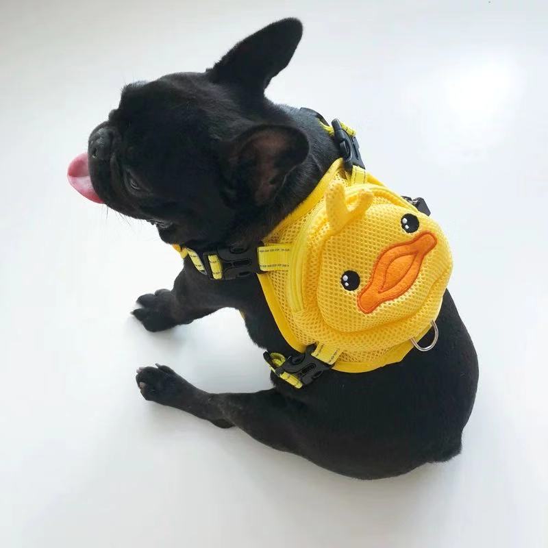 French bulldog backpack top harness