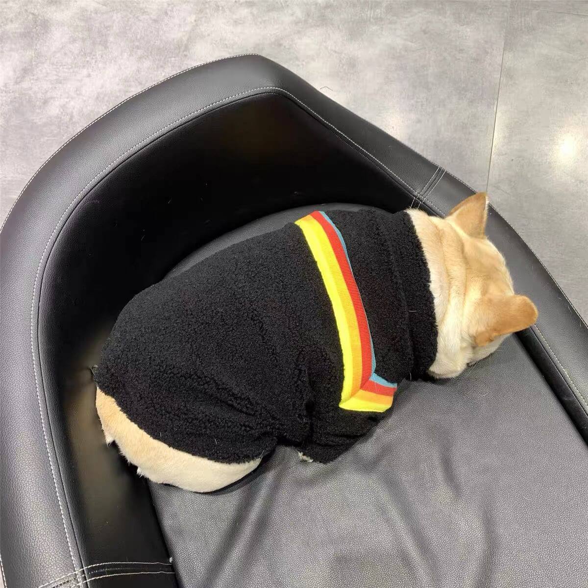 Dog Black Rainbow Zipper Up Jacket Coat BY FRENCHIELY 