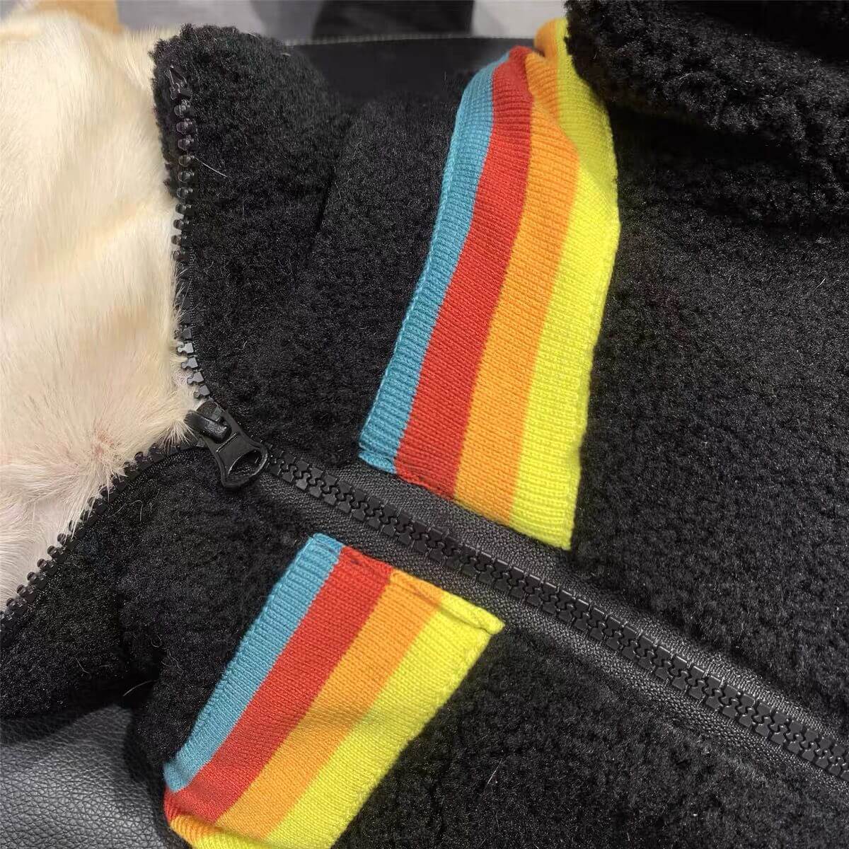 Dog Black Rainbow Zipper Up Jacket Coat BY FRENCHIELY 