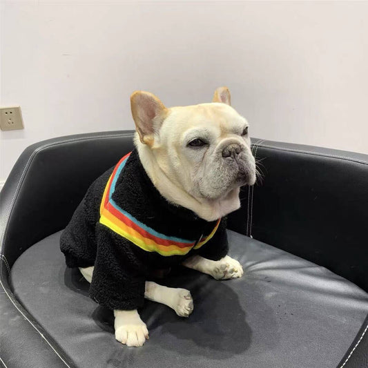 Dog Black Rainbow Zipper Up Jacket Coat BY FRENCHIELY 