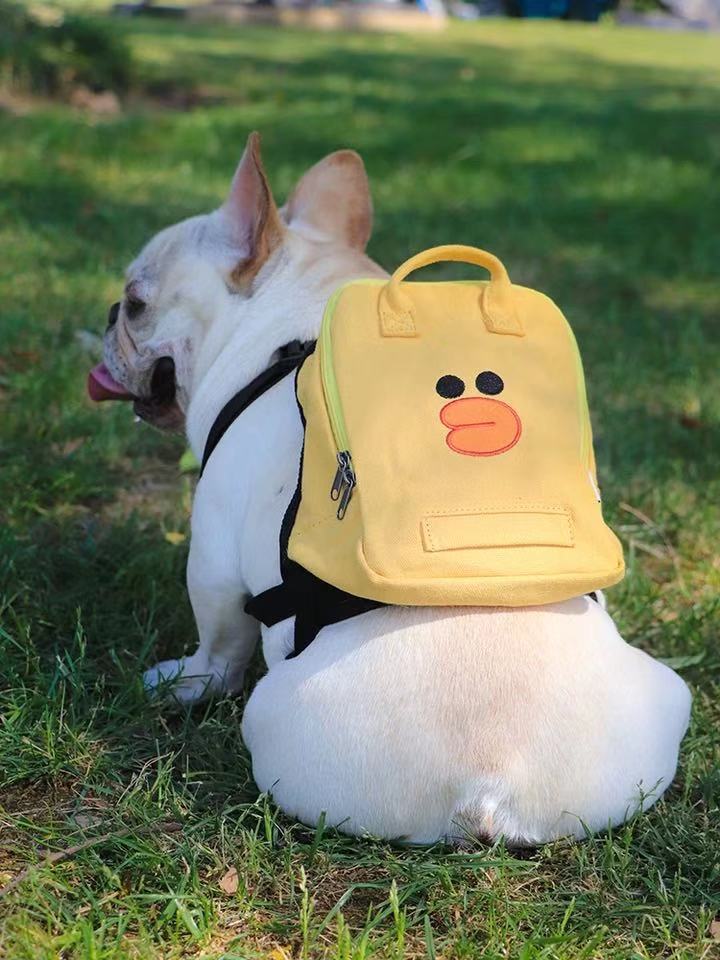 Backpack for french bulldog to wear best sale