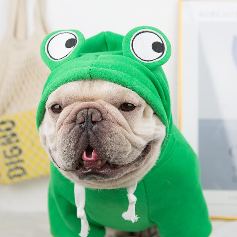 dog frog hoodie costume Frenchiely