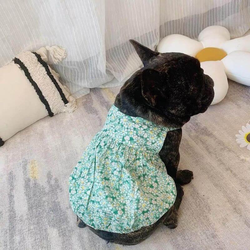 Dog Floral Dress for small medium dogs by Frenchiely 