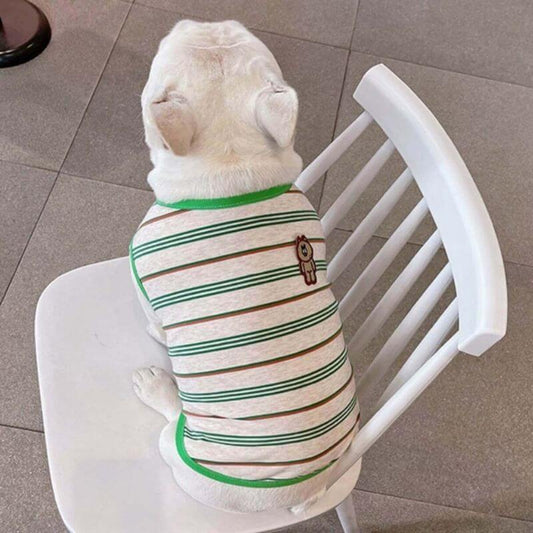 Dog Green Striped Shirt FOR MEDIUM SIZED DOGS BY FRENCHIELY