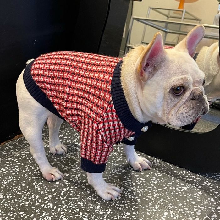 Dog Red Plaid Sweater for French Bulldogs BY FRENCHIELY