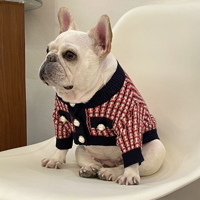 Dog Red Plaid Sweater for French Bulldogs BY FRENCHIELY