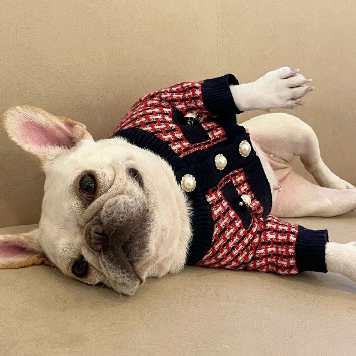 Dog Red Plaid Sweater for French Bulldogs BY FRENCHIELY