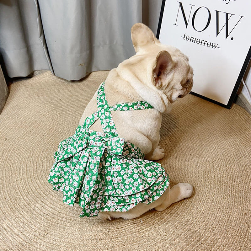 Green 2025 dog dress