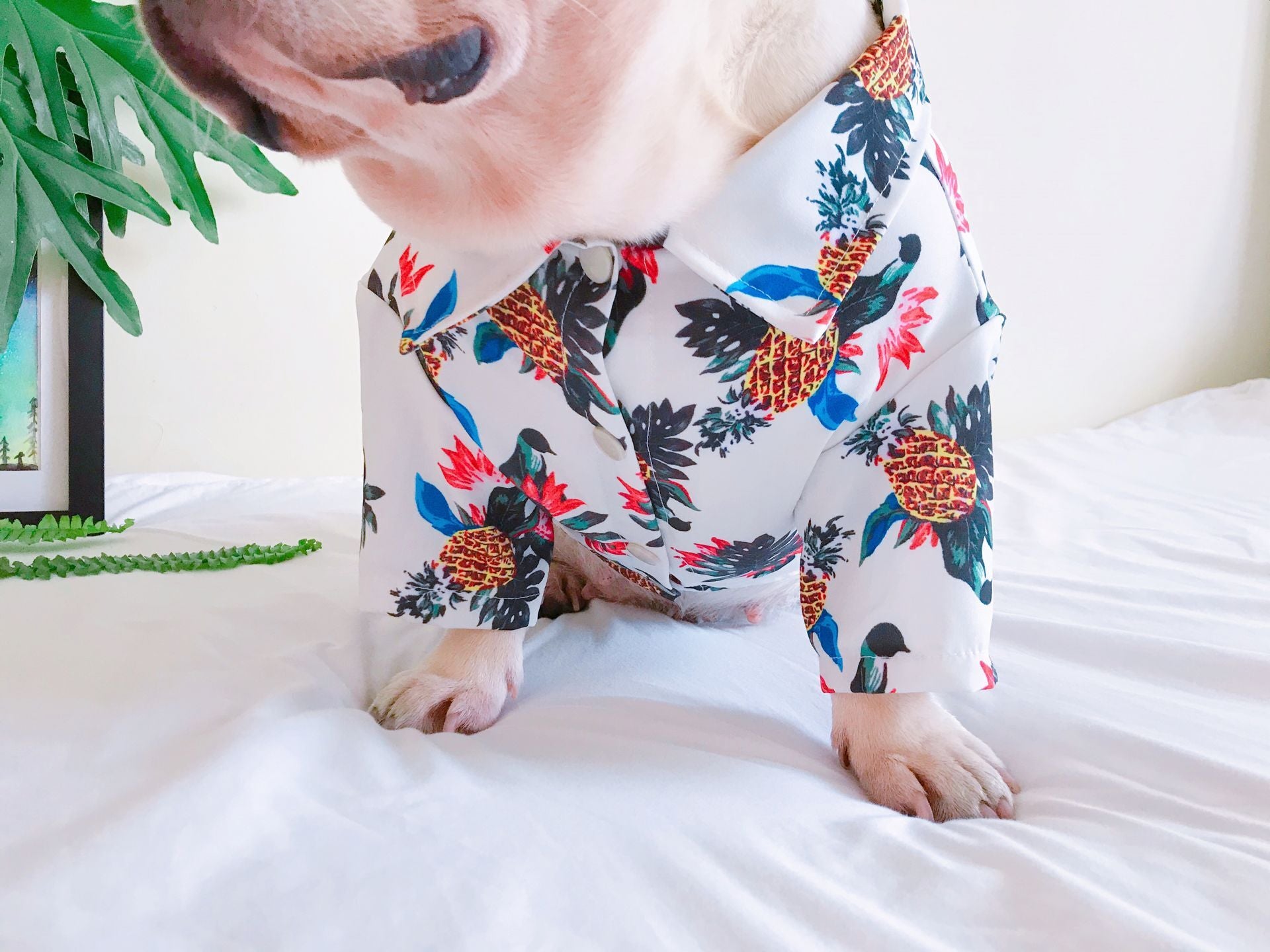 French bulldog hawaiian shirt best sale