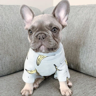 French Bulldog Puppies Onesie Pajamas | Dog Clothes Pajamas | 30% Off ...