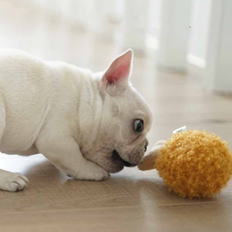 Hamburger Fried Chips Dog Plush Squeaky Toy - Frenchiely