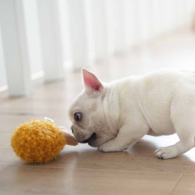 Hamburger Fried Chips Dog Plush Squeaky Toy - Frenchiely