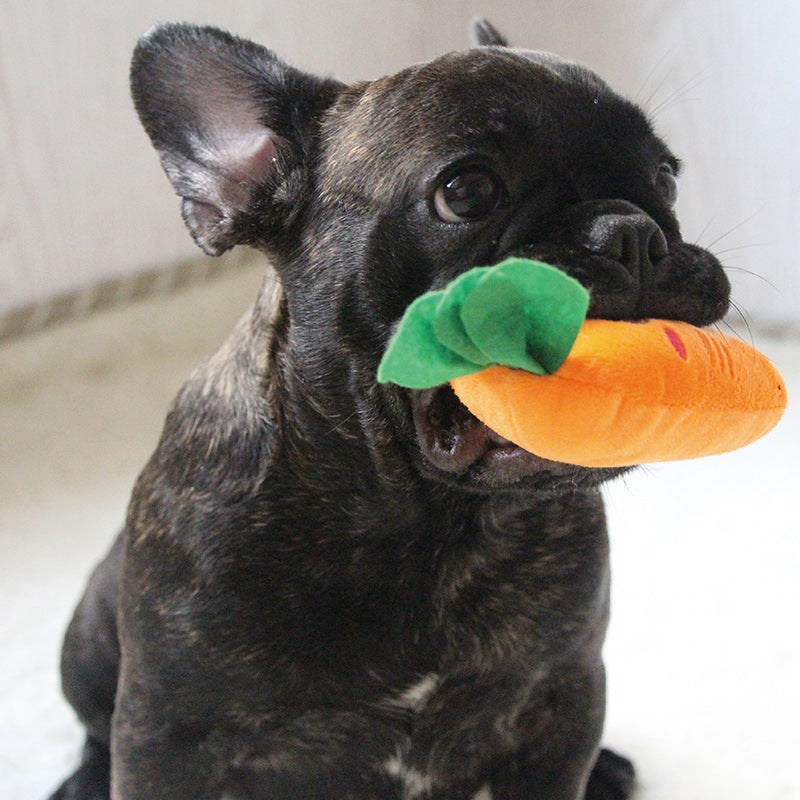 Hamburger Fried Chips Dog Plush Squeaky Toy - Frenchiely