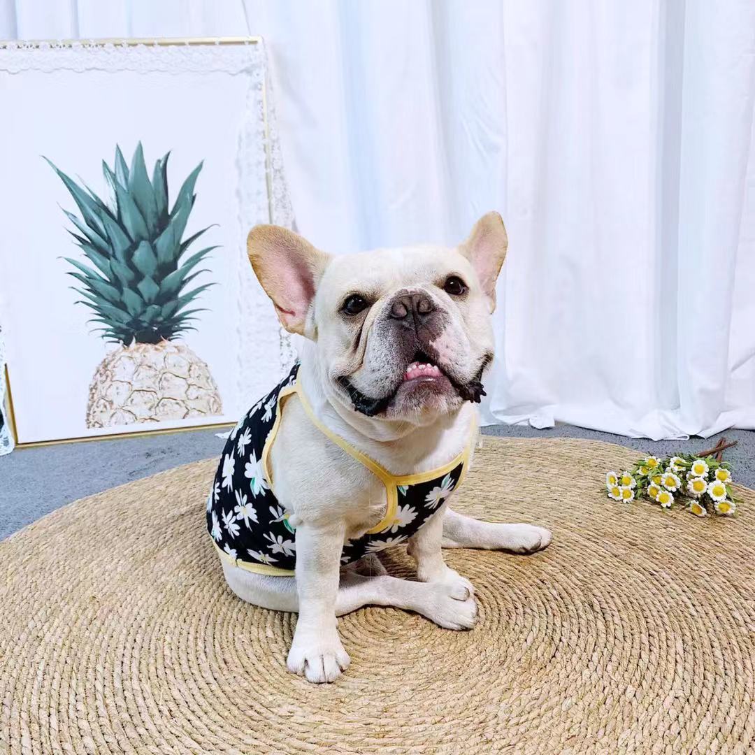 Dog Floral Shirt for Female Dogs - Frenchiely