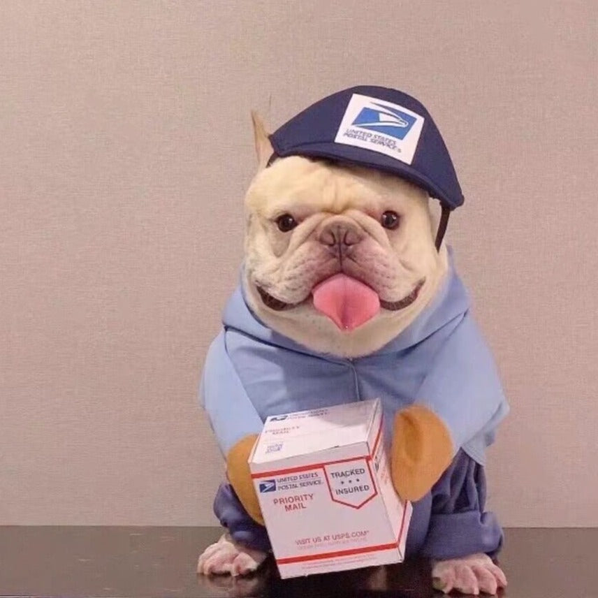 Pug in ups outlet costume