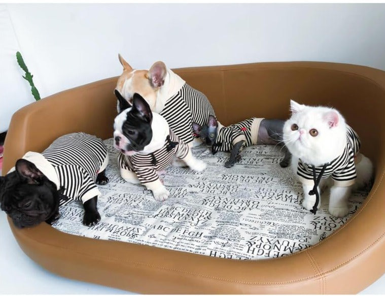 Matching Outfits for You and Your Dog - Frenchiely