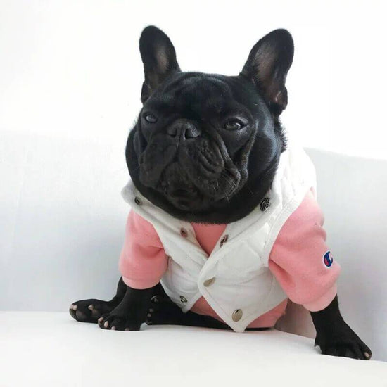 Dog Winter Jacket Vest for Frenchies | French Bulldog Brand|Frenchiely