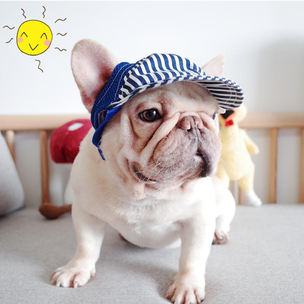 French bulldog hat for clearance dog