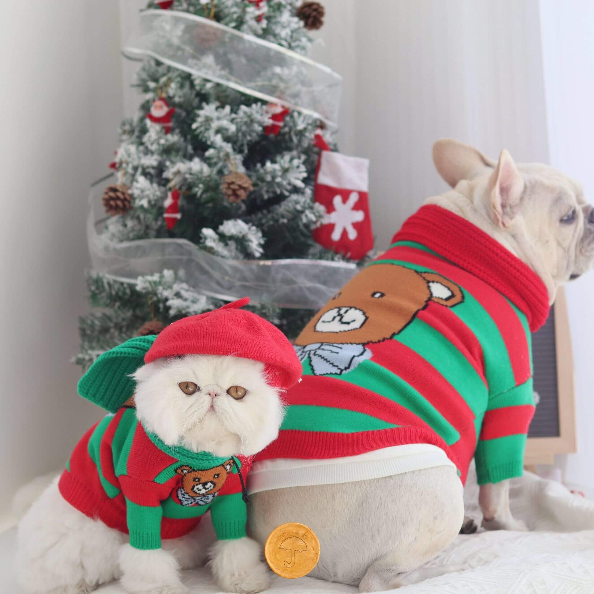 Dog Christmas Sweater Outfits for Medium Dogs by Frenchiely 