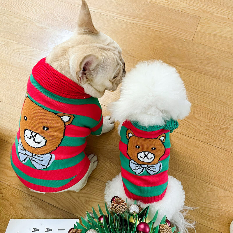 Small dog sales christmas sweater