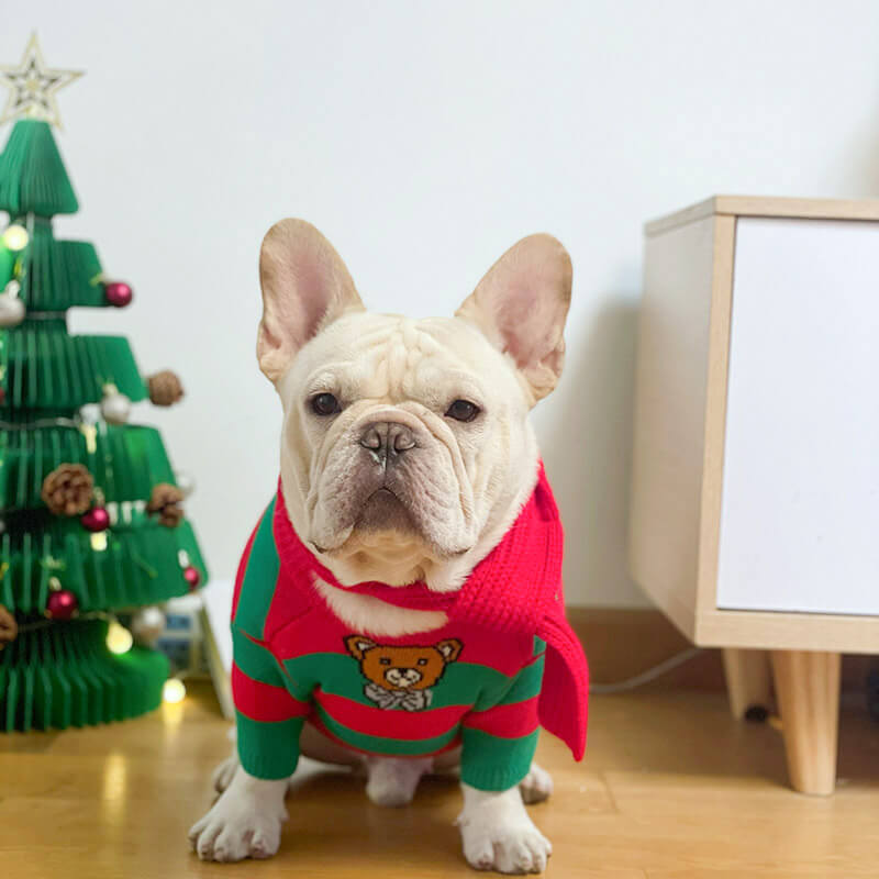 Bulldog christmas store jumper for dog