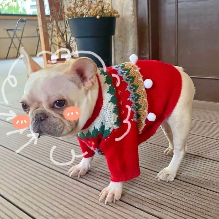 Dog Christmas Tree Sweater Outfits Costume for Medium Dogs BY FRENCHIELY 