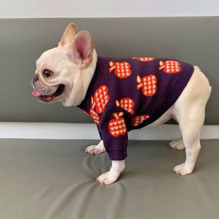 Dog Apple Sweater - Frenchiely