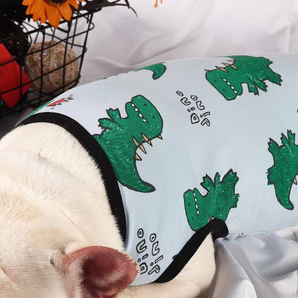 dog cartoon dinosaurs shirts for medium dogs by Frenchiely 