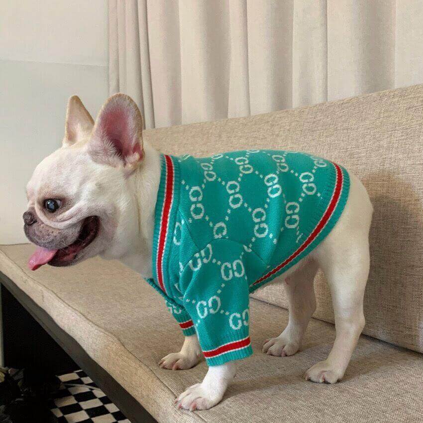 Dog Green Stylish Cardigan Sweaters for Medium Dogs BY FRENCHIELY