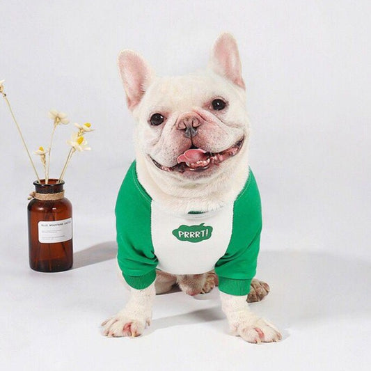 Dog Green Pullover Sweatshirt for Medium Dogs by Frenchiely 