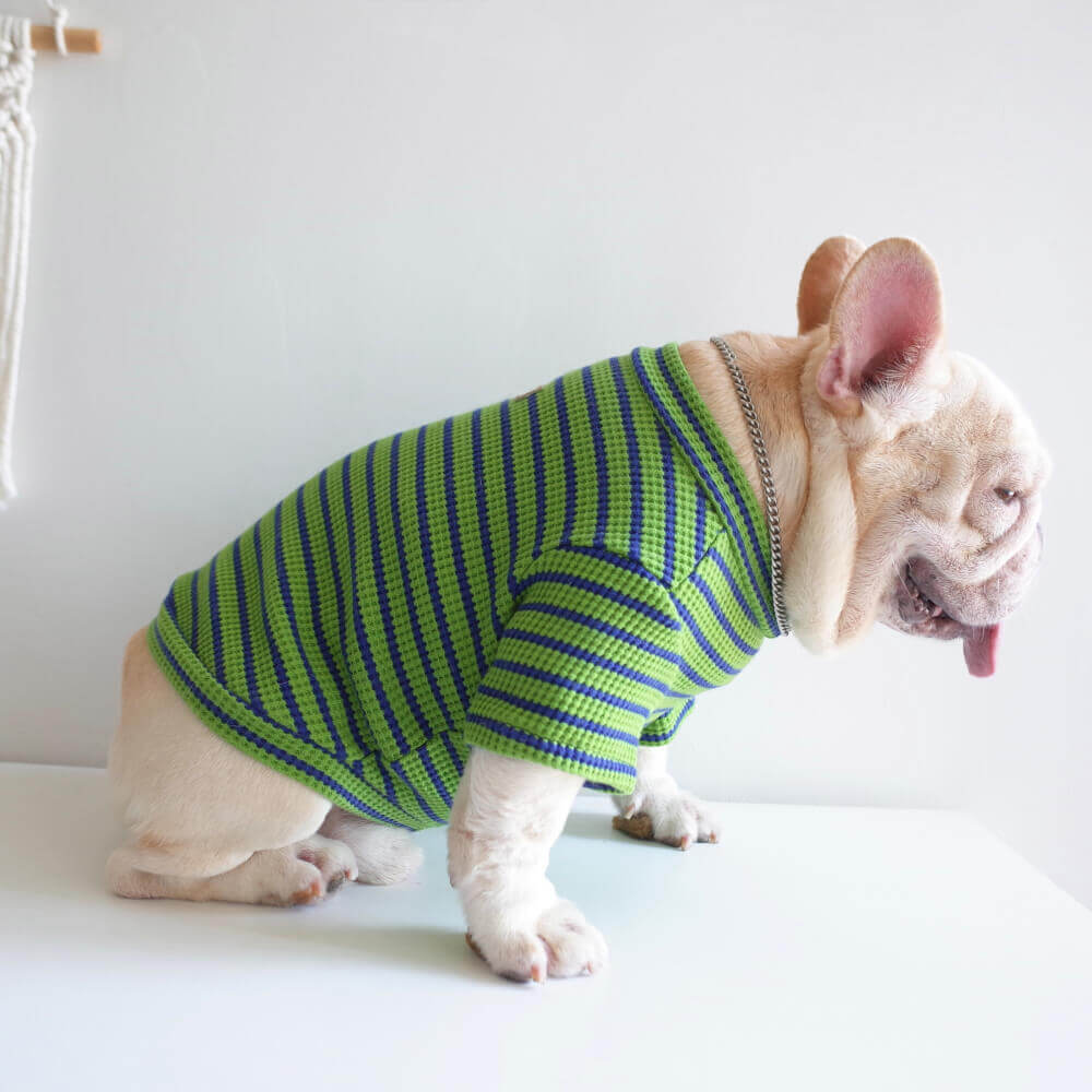dog shirts for french bulldogs