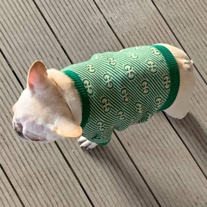 Dog Stylish Green Pullover Sweater for Small Medium Dogs BY Frenchiely 