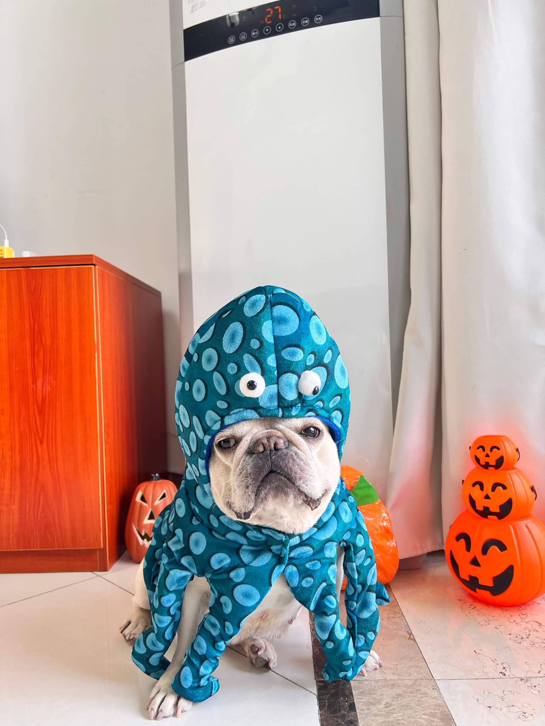 dog octopus costume – Frenchiely
