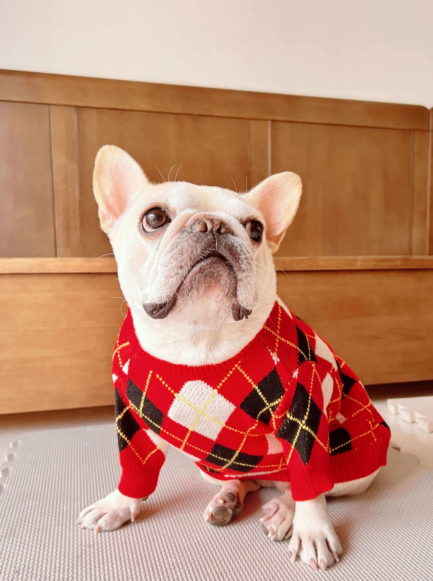 dog black and red pullover cardigans by Frenchiely